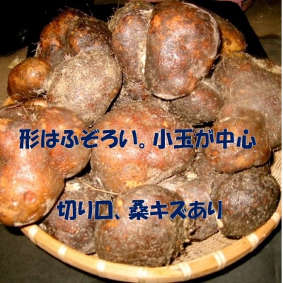 【芋家なか吉】丹波山の芋 わけあり 3キロ