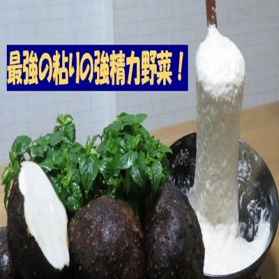 【芋家なか吉】丹波山の芋 わけあり 3キロ