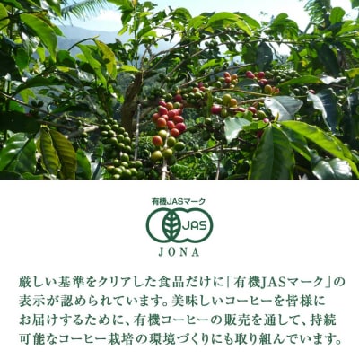【小川珈琲】ドリップコーヒーセット(3種計19杯分)