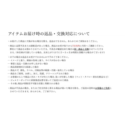 【KAORU】スターダスト フープピアス S / シルバー