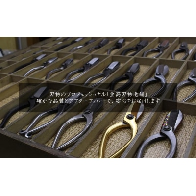 【金高刃物老舗】剣山 草用 大々丸