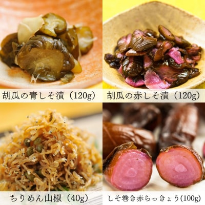 【辻しば漬本舗】大原のしば漬・京漬物・ちりめん山椒のおすすめセット(10種)|京都 人気漬物 詰合せ