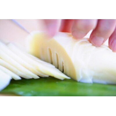 先行受付【筍農家】京都産 朝堀り たけのこ 優秀品 1KG(2-5本)