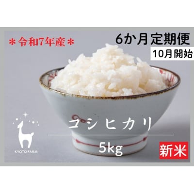 【新米先行受付】〈6か月定期便〉令和7年産コシヒカリ 精米5kg (10月～3月)