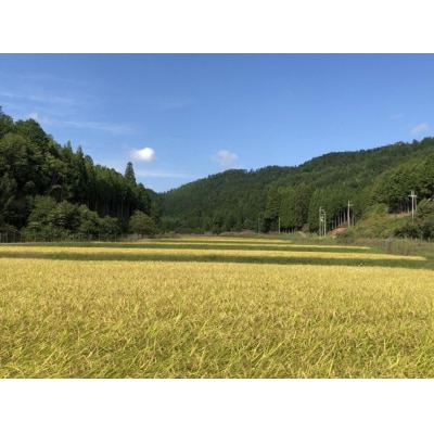 【新米先行受付】〈6か月定期便〉令和7年産コシヒカリ 精米5kg (10月～3月)