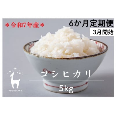 〈6か月定期便〉令和7年産コシヒカリ 精米5kg(2026年3月～8月)