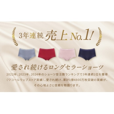 【ワコール】見た目スッキリ きれいに整うディアヒップ ショーツ LLサイズ《カラー:GR》
