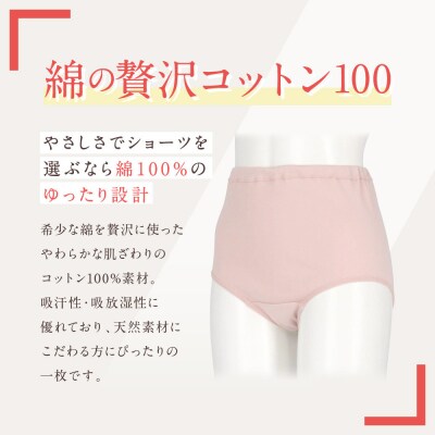 【ワコール】ウイング ショーツ(はきこみ丈ふかめ)《Lサイズ》カラー:BE