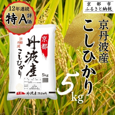 【丸越】京都丹波産こしひかり精米5kg