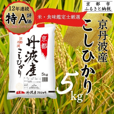 <令和7年産>京都丹波産 こしひかり 5kg ※米食味鑑定士厳選 ※精米したてをお届け