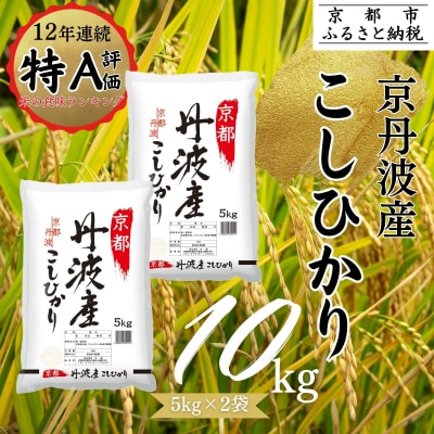 【丸越】京都丹波産こしひかり精米10kg