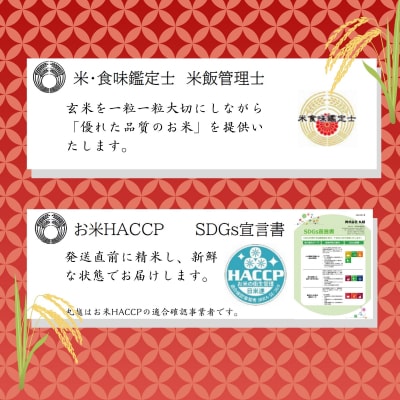 <令和7年産> 京都丹波産こしひかり 5kg×2 計10kg ※米食味鑑定士厳選
