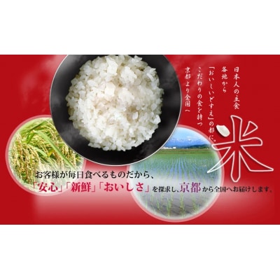 【丸越】丹波産 米 2種食べ比べセット 10kg (5kg×2)