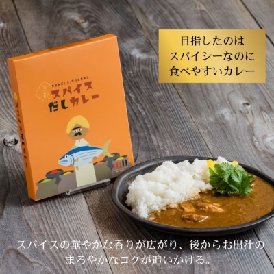 【きょうのおだし】スパイスだしカレー 2食入