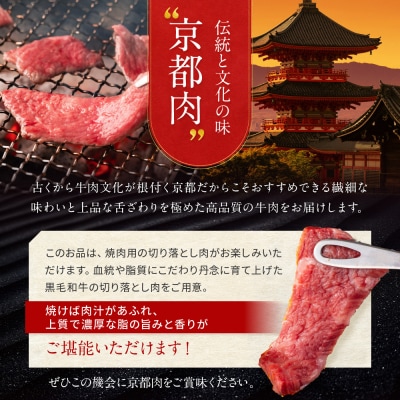 【京都モリタ屋】京都肉 焼肉用切り落とし 450g|京都 老舗 有名店 ブランド牛 人気