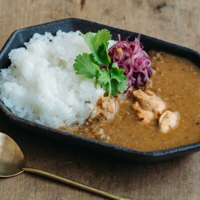 【きょうのおだし】スパイスだしカレー 10食入