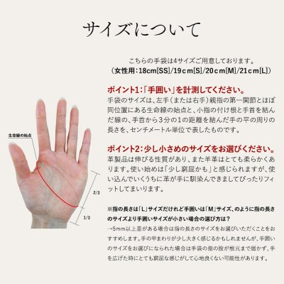 【ぎんやんま】本羊革手袋 レディース(SSサイズ)