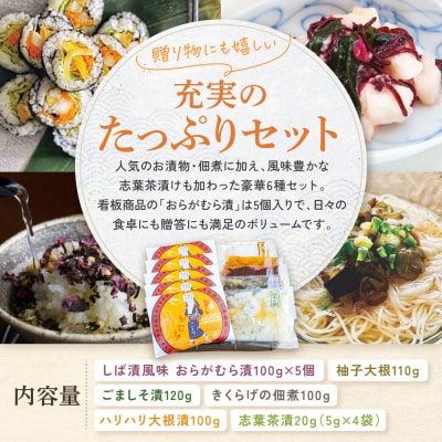 【ニシダや】京都人が選ぶ京都土産第3位の【おらがむら漬】が入ったセットG