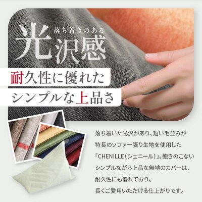 【大東寝具】tetra シェニール(ビッグサイズ)【ビーズクッション座椅子】(パール)