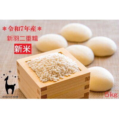【新米先行受付】【京都ファーム】令和7年産 京都ファームのもち米 新羽二重糯5kg 12月発送
