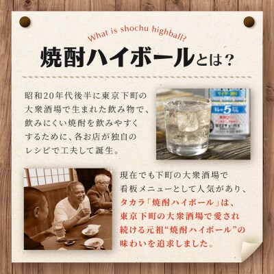 【タカラ】焼酎ハイボール「キレの5%」＜サイダー割り＞ 350ml×24本|焼酎 酎ハイ 