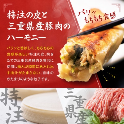 【マルシン飯店】京都・超行列店の生餃子20個入り|京都東山 看板餃子