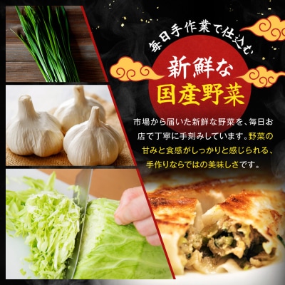 《限定寄付額～9/30》【マルシン飯店】京都・超行列店の生餃子20個入り|京都東山 看板餃子