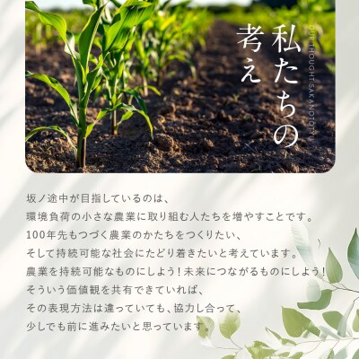 《9月末までの限定寄付額》【坂ノ途中 海ノ向こうコーヒー】ドリップコーヒー 4種詰合せギフトセット