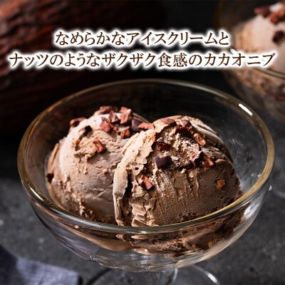【高島屋選定品】〈dari K(ダリケー)〉ザクザク食感のカカオニブチョコレートアイス(8個セット)
