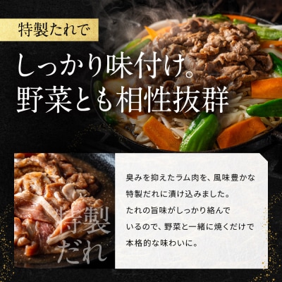 【岡山フードサービス】特製たれ漬けジンギスカン 400g×2箱|厳選ラム肉 やわらかジューシー