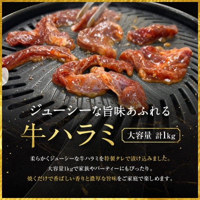 【エスイー】牛ジューシーハラミタレ漬け 500g×2パック 計1kg|京都 牛ハラミ 人気セット
