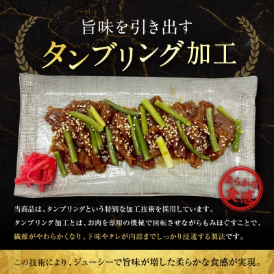 【エスイー】牛ジューシーハラミタレ漬け 500g×2パック 計1kg|京都 牛ハラミ 人気セット