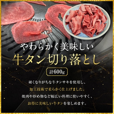 《限定寄付額～9/30》【エスイー】牛タン切り落とし200g×3P|京都 牛タン 人気セット 小分け
