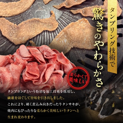 《限定寄付額～9/30》【エスイー】牛タン切り落とし200g×3P|京都 牛タン 人気セット 小分け