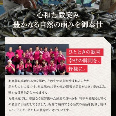 【まるけん水産】本鮪の甘露煮 300g×3袋