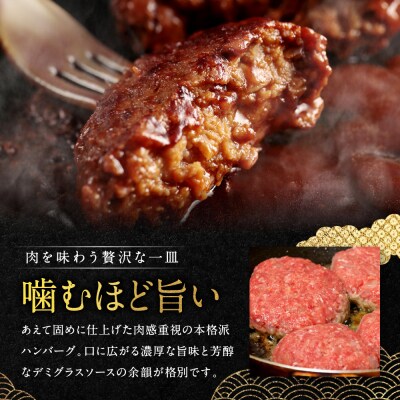 【銀閣寺大西】国産サステナブル和牛「熟」100% 煮込みハンバーグ(デミグラスソース)2個セット