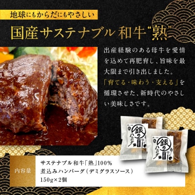 銀閣寺大西 国産サステナブル和牛「熟」100% 贅沢煮込みハンバーグ 2個|京都 肉 加工品 人気