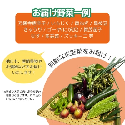 【エーコープ京都中央】おまかせ京野菜セット