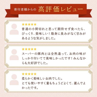 【京都特産ぽーく】京都ぽーく 豚肉小間切れ 計2.8kg(225g×12P+100gおまけ付)