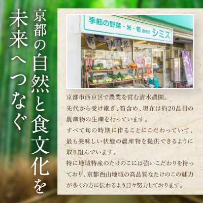 【清水農園】『京たけのこ』収穫体験+お土産付プラン 2026年4月19日(1)10時～の部 1名様分