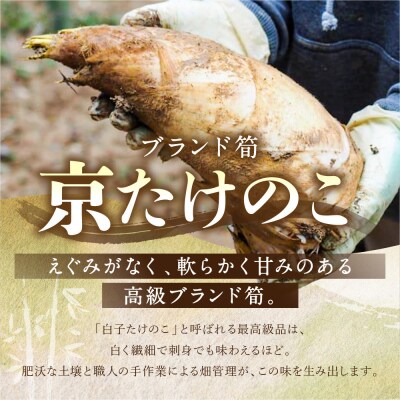 【清水農園】『京たけのこ』収穫体験+お土産付プラン 2026年4月19日(1)10時～の部 1名様分