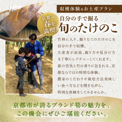 【清水農園】『京たけのこ』収穫体験+お土産付プラン 2026年4月19日(2)13時～の部 1名様分