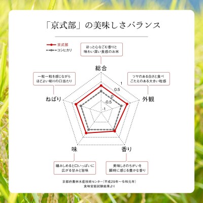 【大和物産】令和7年 特別栽培米「京式部」5kg|白米 精米 人気セット