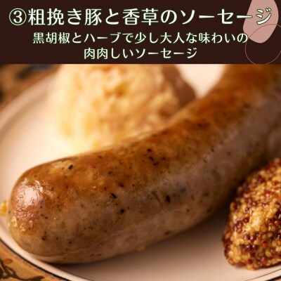 【ジャングルケイブ】肉感たっぷり 手作り無添加ソーセージ3種(各約100g)