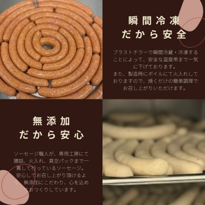【ジャングルケイブ】肉感たっぷり 手作り無添加ソーセージ(鶏と瀬戸内レモンピール)5本×約100g
