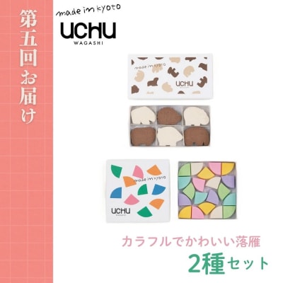 京の人気スイーツ定期便 全5回|京都 スイーツ店5店 豪華 食べ比べ