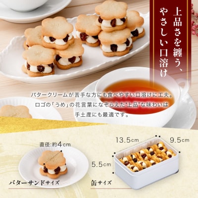 【三木鶏卵】レーズンバターサンド 10個入り|錦市場 有名店 スイーツ バターサンド 人気セット