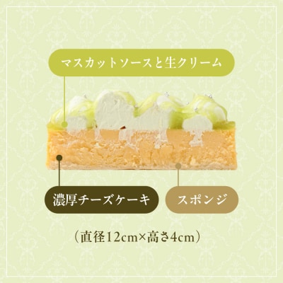 【京都フレーバーズ】濃厚チーズケーキ マスカット|人気スイーツブランド ご褒美スイーツ