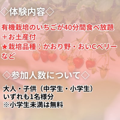 【オーガニックnico】有機栽培のいちご狩り1名分(2026年3月～4月開催)|いちご おすすめ 