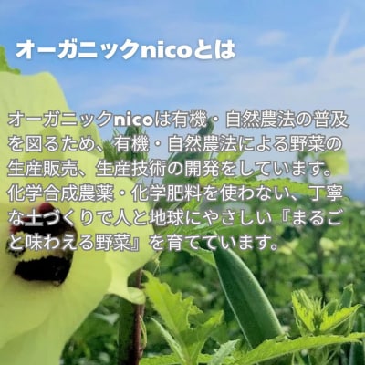【オーガニックnico】有機栽培のいちご狩り1名分(2026年3月～4月開催)|いちご おすすめ 